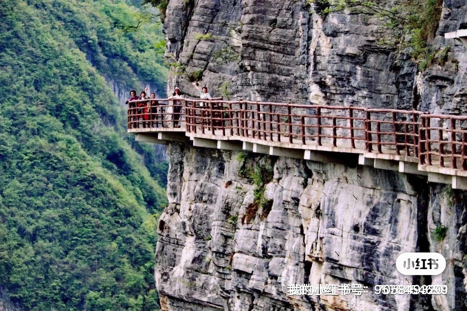 恩施——所有景区每日往返，可包车可拼车，