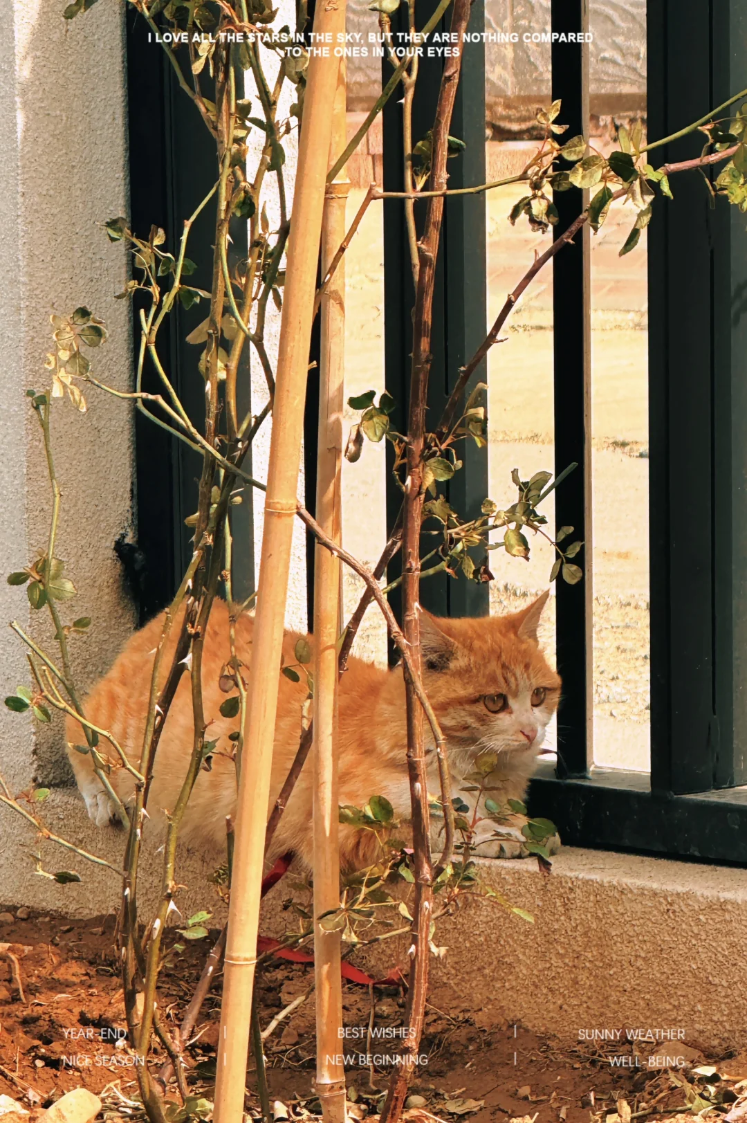 我在蓟县上春山🍃 逃离城市喧嚣！