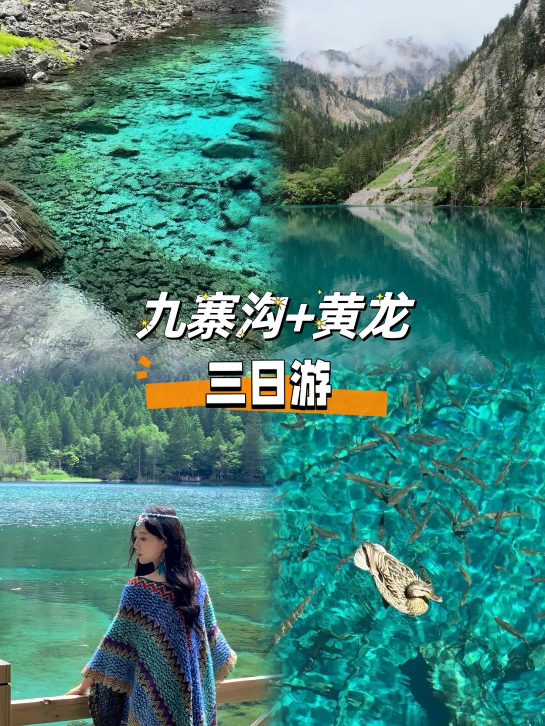 现在来九寨 三日总共468