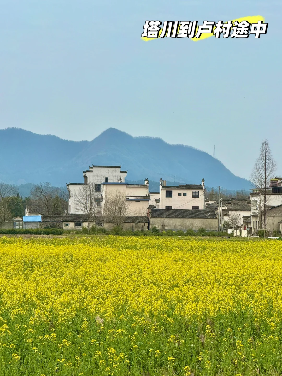 别挤宏村‼️这条私密路线承包90%皖南春色