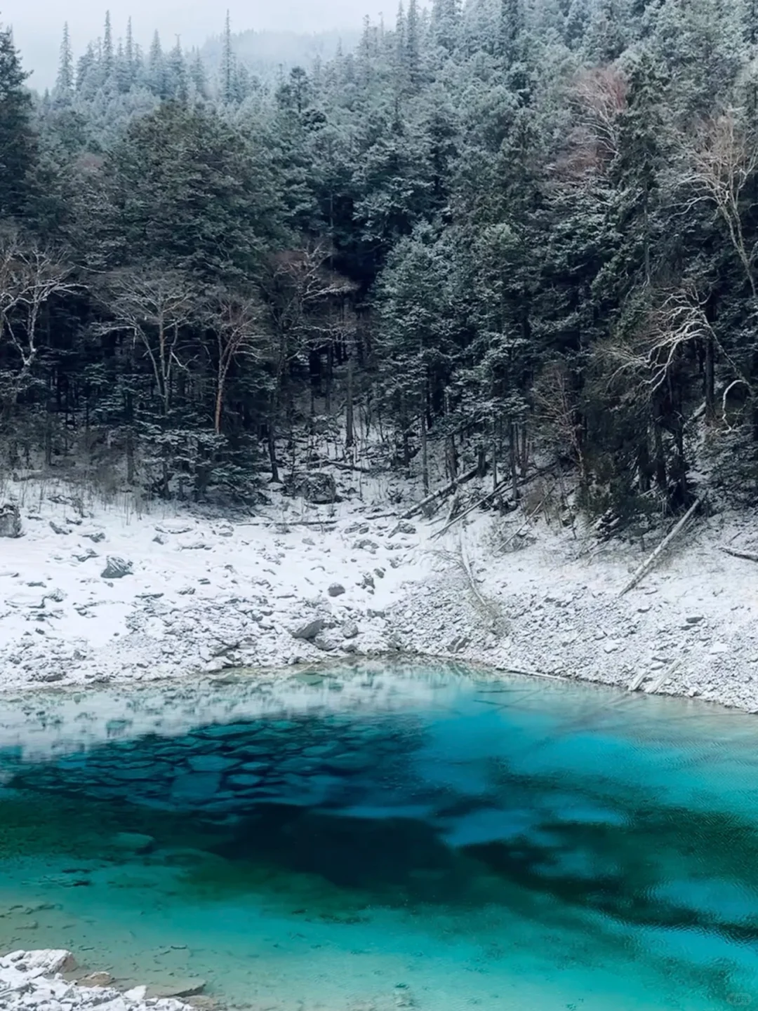 九寨沟黄龙已回，真的崩溃了！