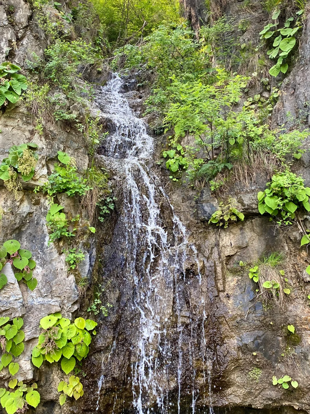 保定｜“北方小桂林”易水湖🏝️