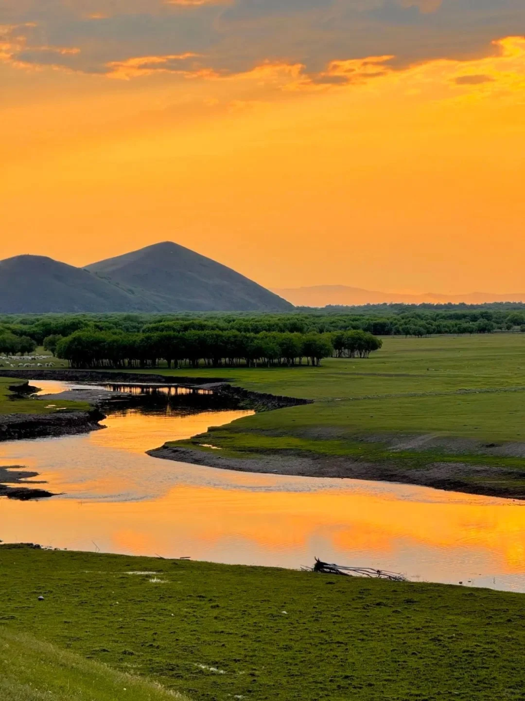 DeepSeek推荐，五一清明反向旅游的乌兰布统