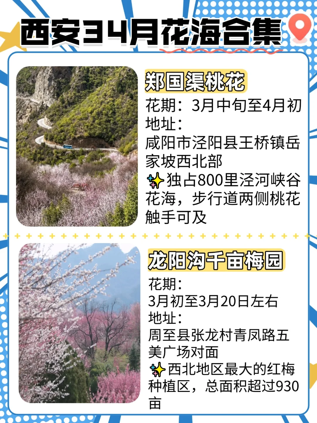 西安3-4月周边这些绝美花海和秘境