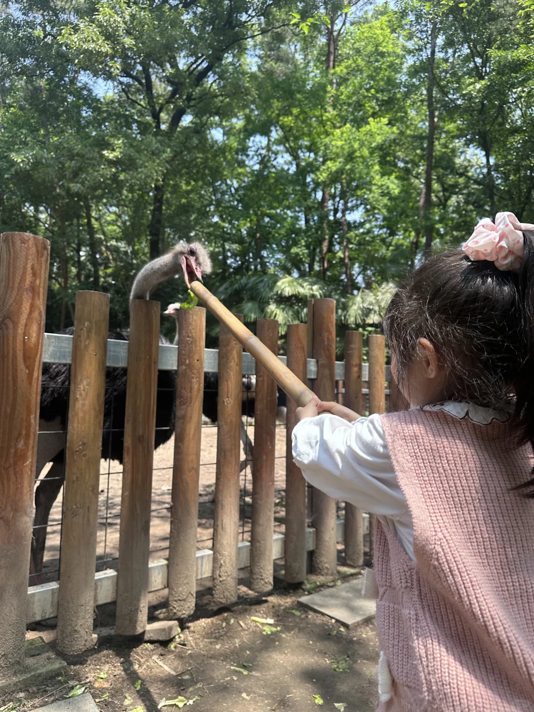 五一旅游河南私藏小众宝藏地-信阳新县