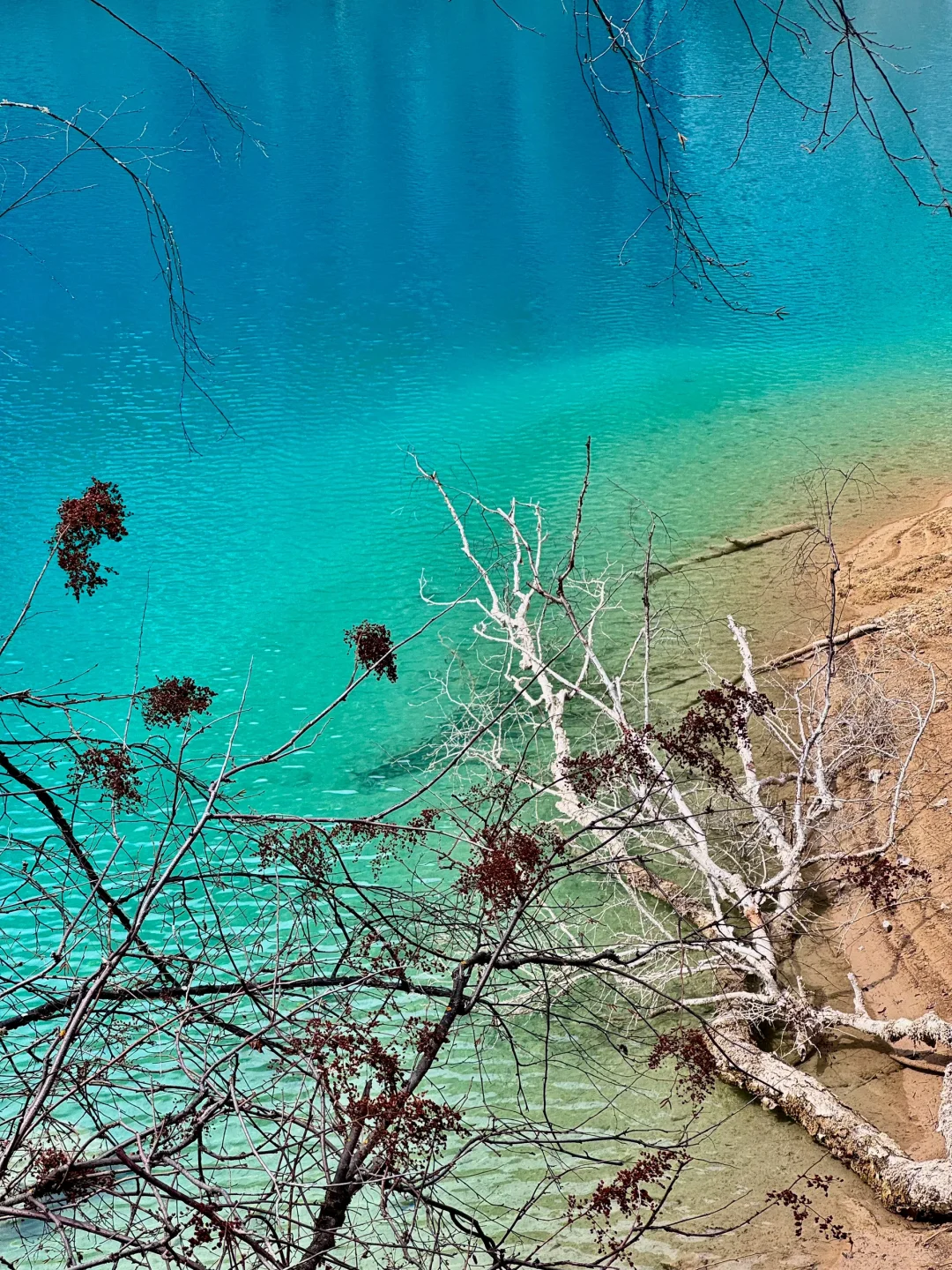 3.23📍九寨沟已回，live现状，能帮一个是一个