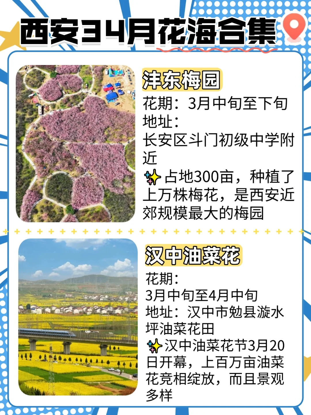 西安3-4月周边这些绝美花海和秘境