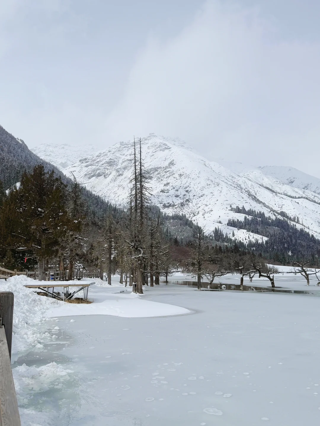3.25📍四姑娘山现状，五一假期去都是大冤种