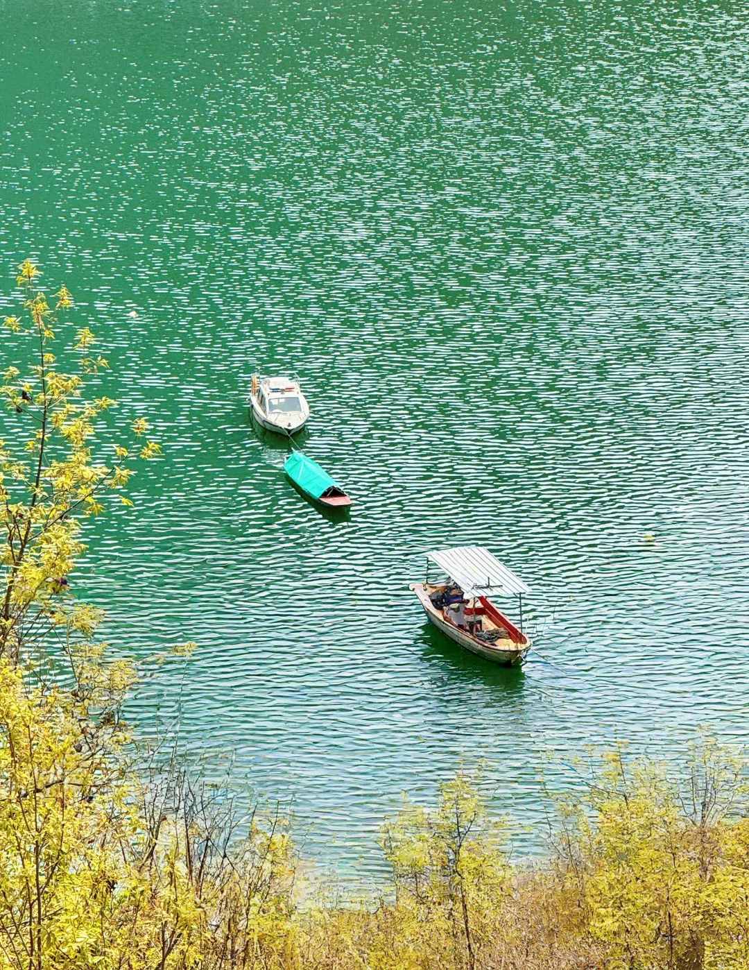 安康📍岚皋南宫山景区观景台