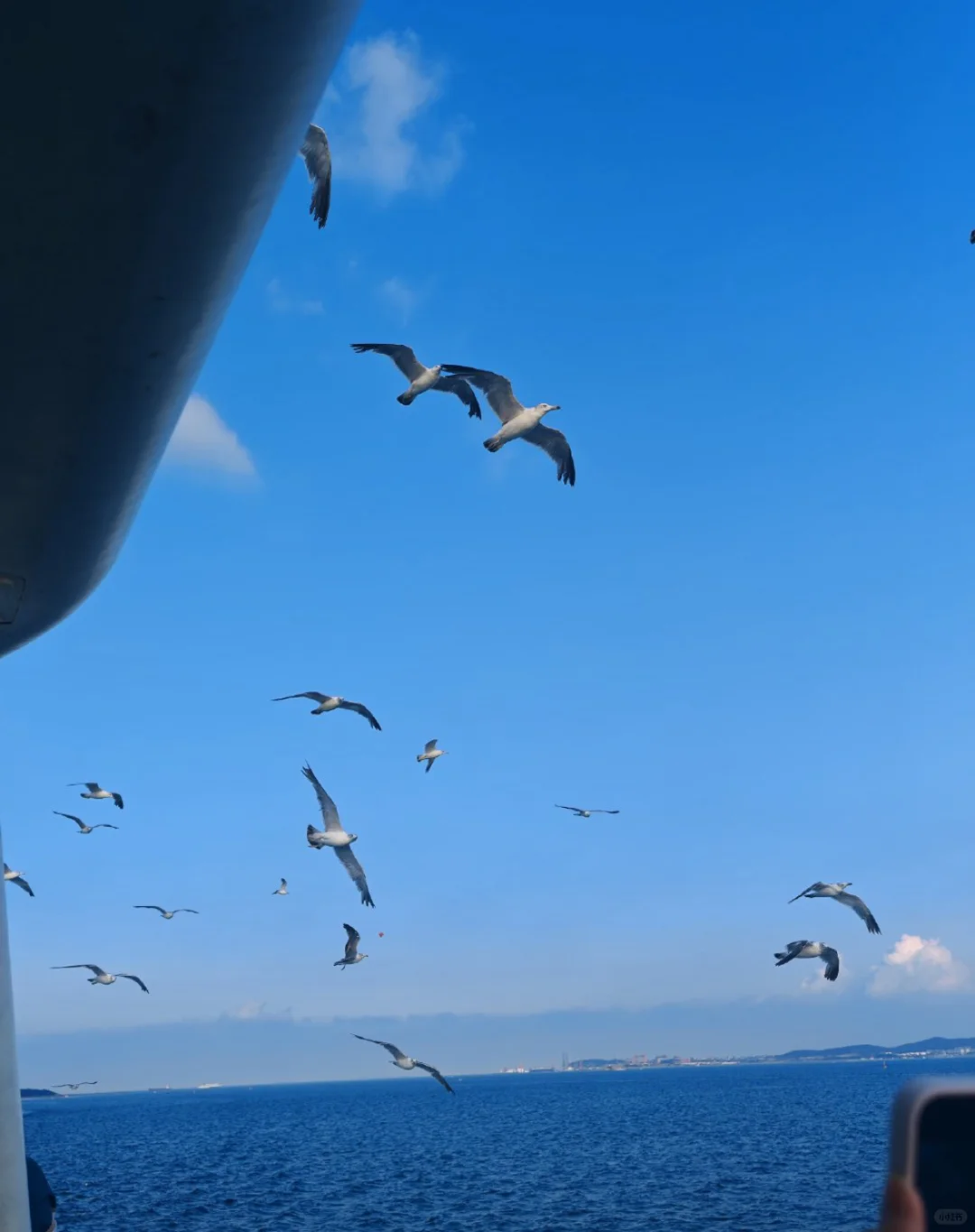 郑州大学生穷游威海|398💰玩两天|详细攻略