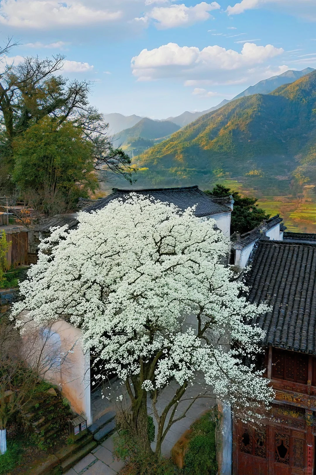 比起景德镇，我更爱上榜国家地理的春日小城