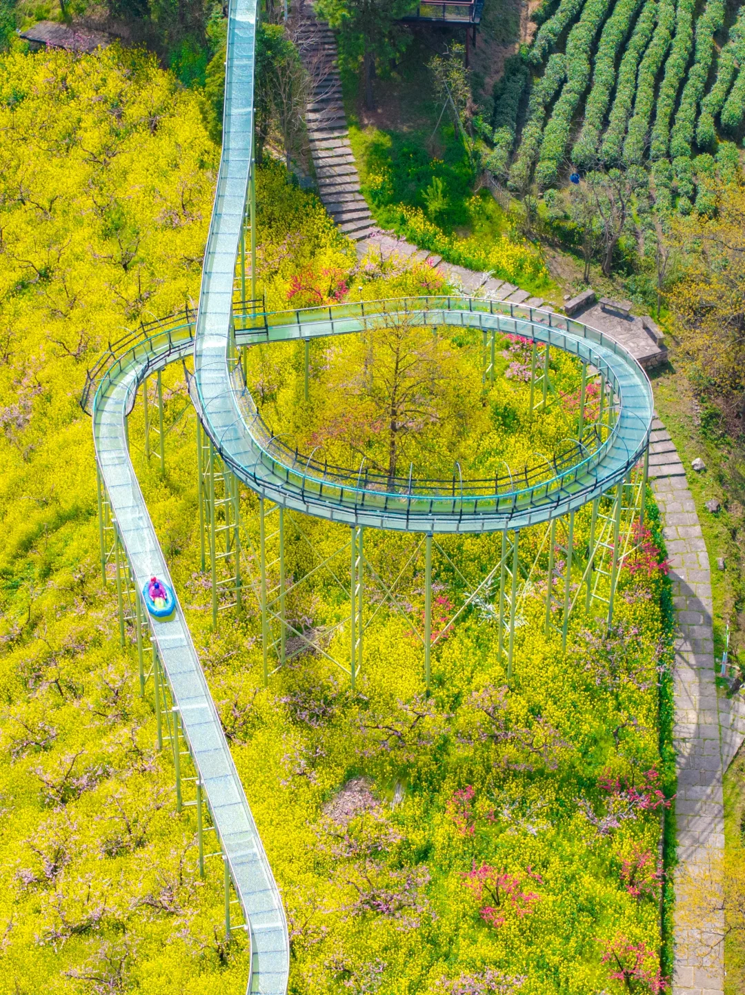 在湖州，坐上开往春天的漫画小火车