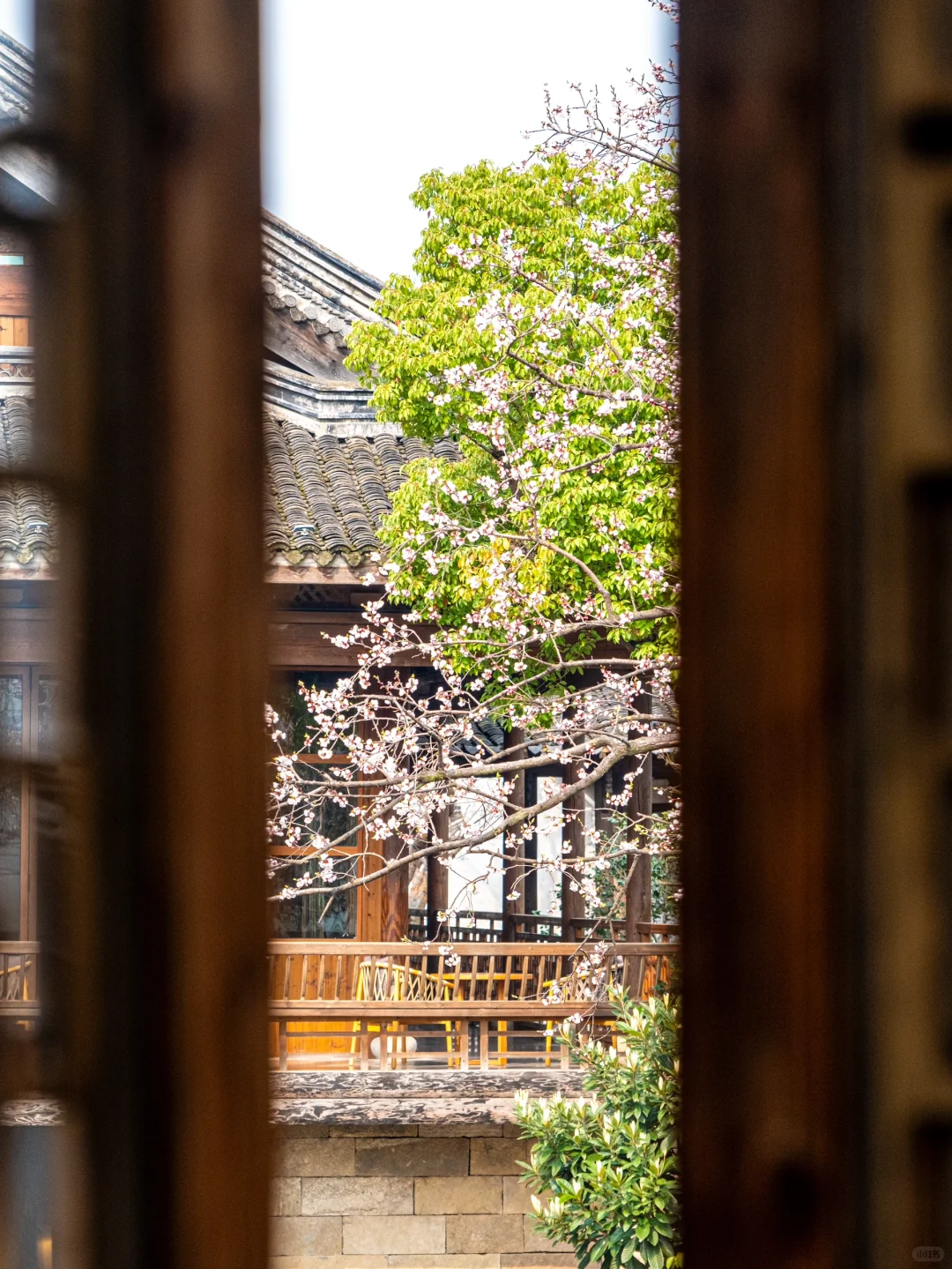 迄今为止,浙江我最喜欢的古城出现了‼