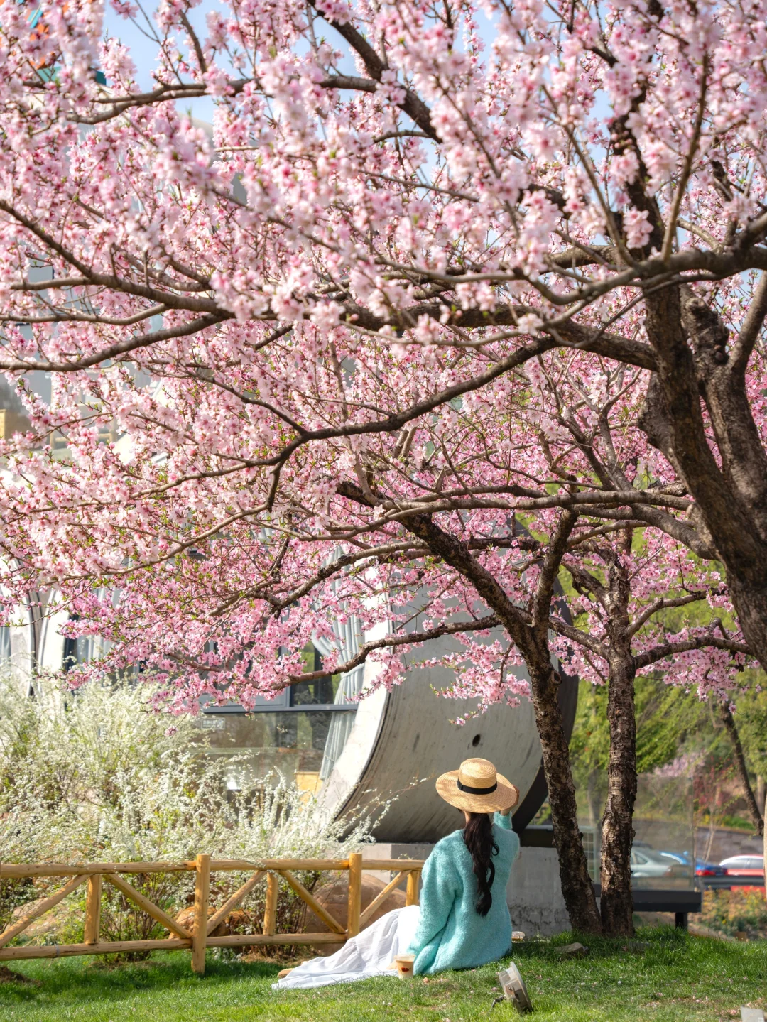 在湖州，坐上开往春天的漫画小火车