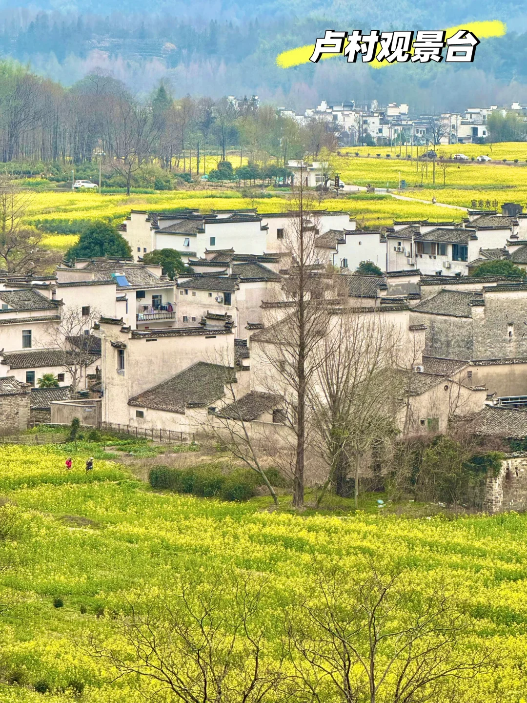 别挤宏村‼️这条私密路线承包90%皖南春色