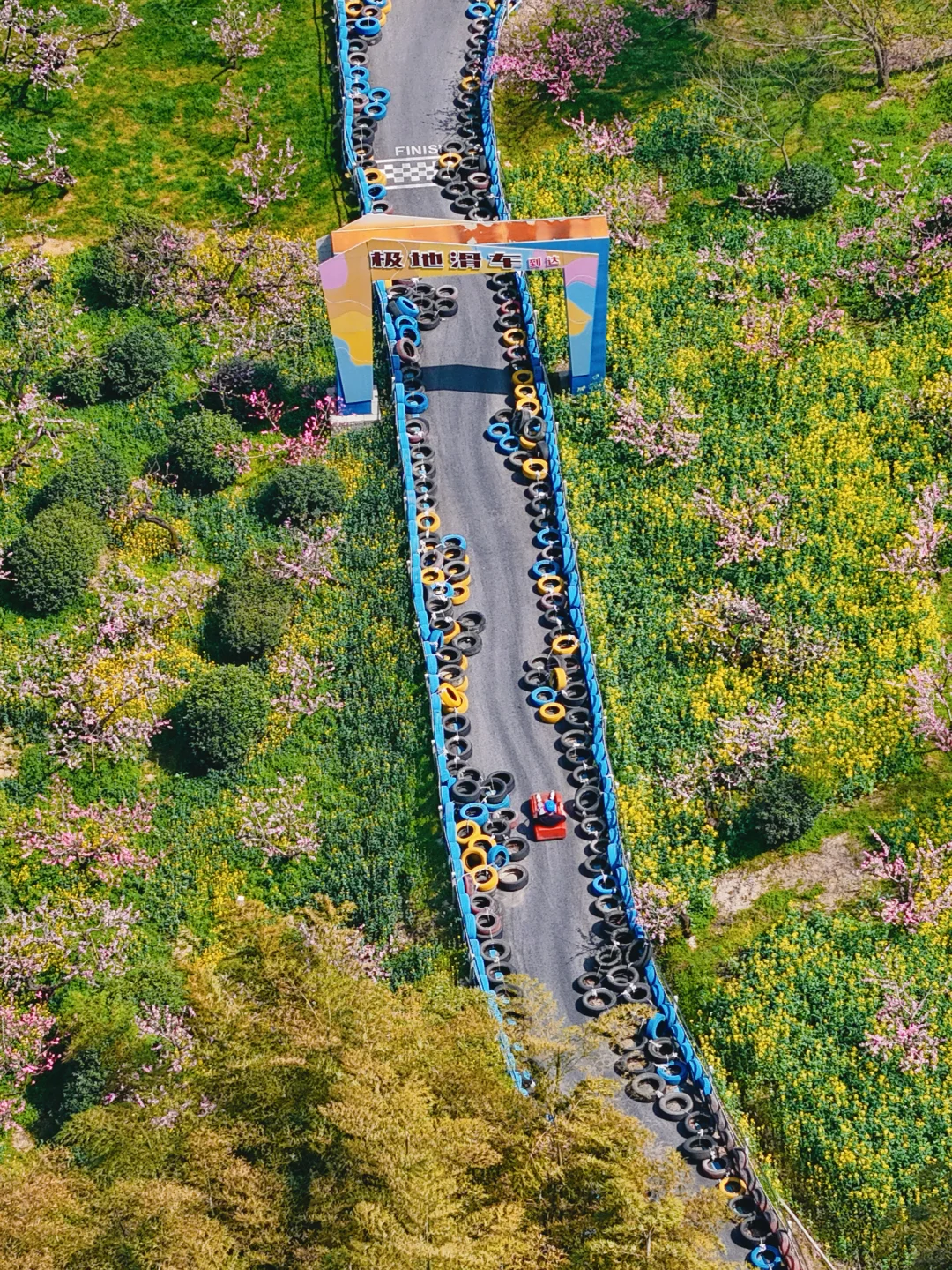 杭州出发1小时，坐上开往春天的花海小火车