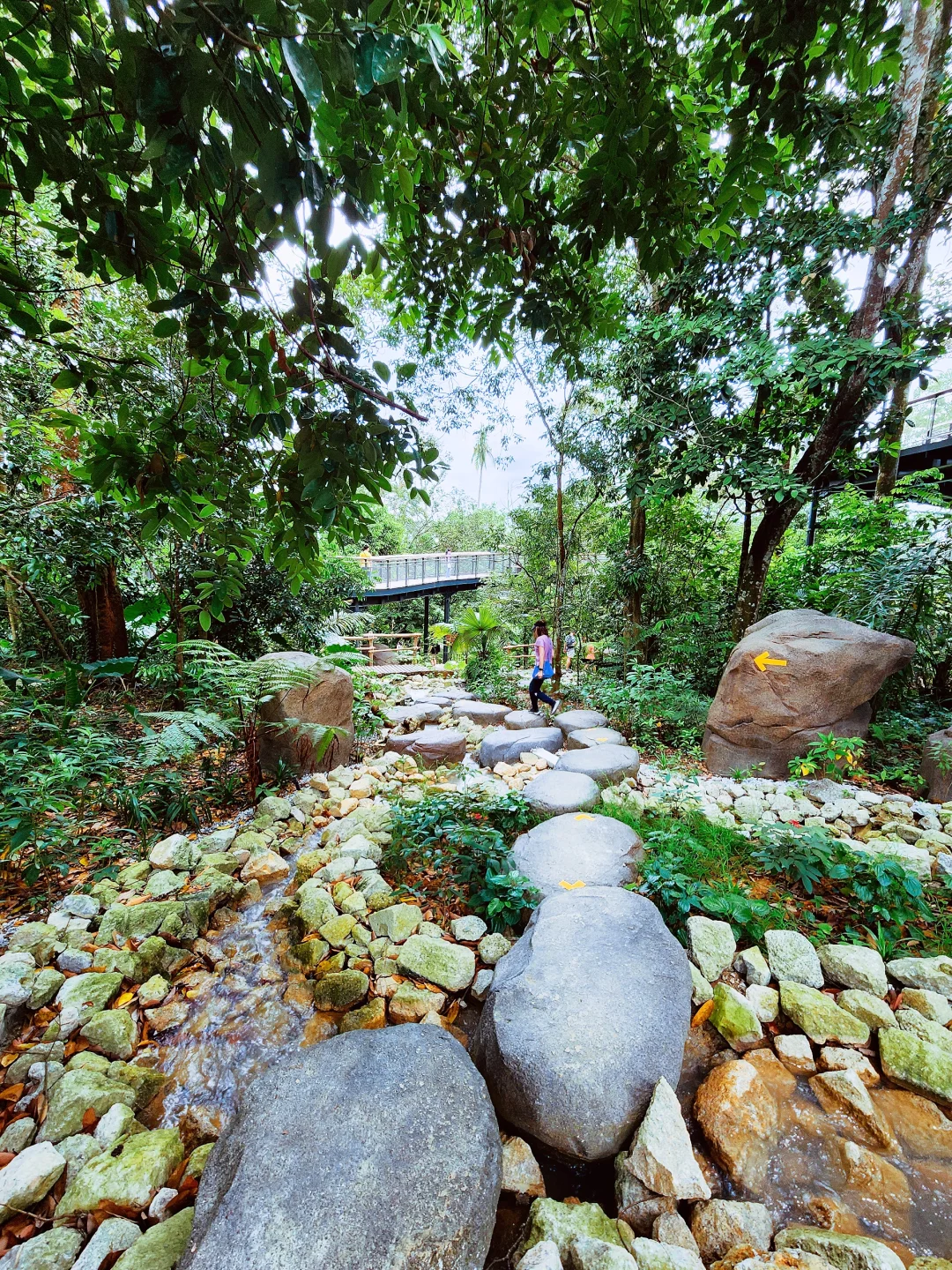 新加坡全新景点｜徒步探险！也太好拍了吧！