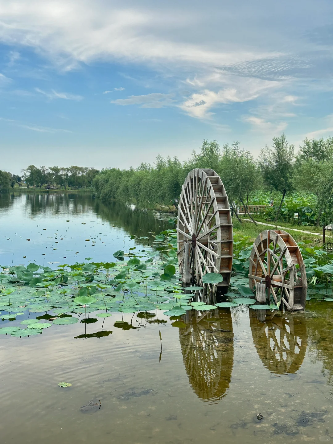 来阜新了 跟童话小镇似的