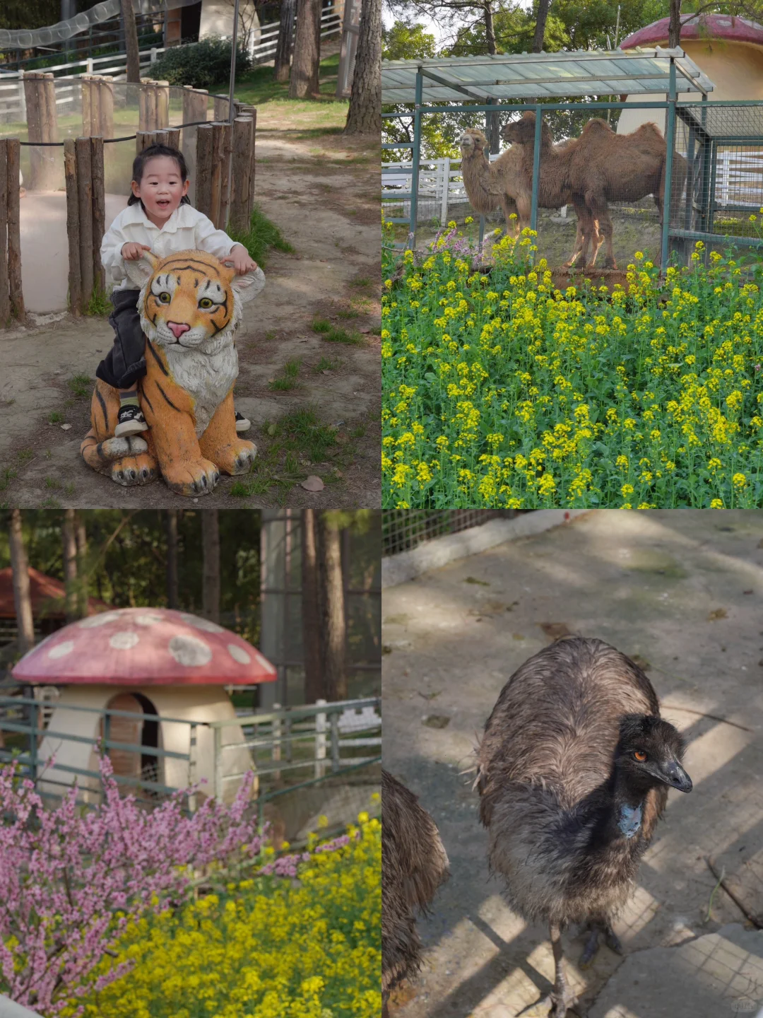 杭州出发1小时，坐上开往春天的花海小火车