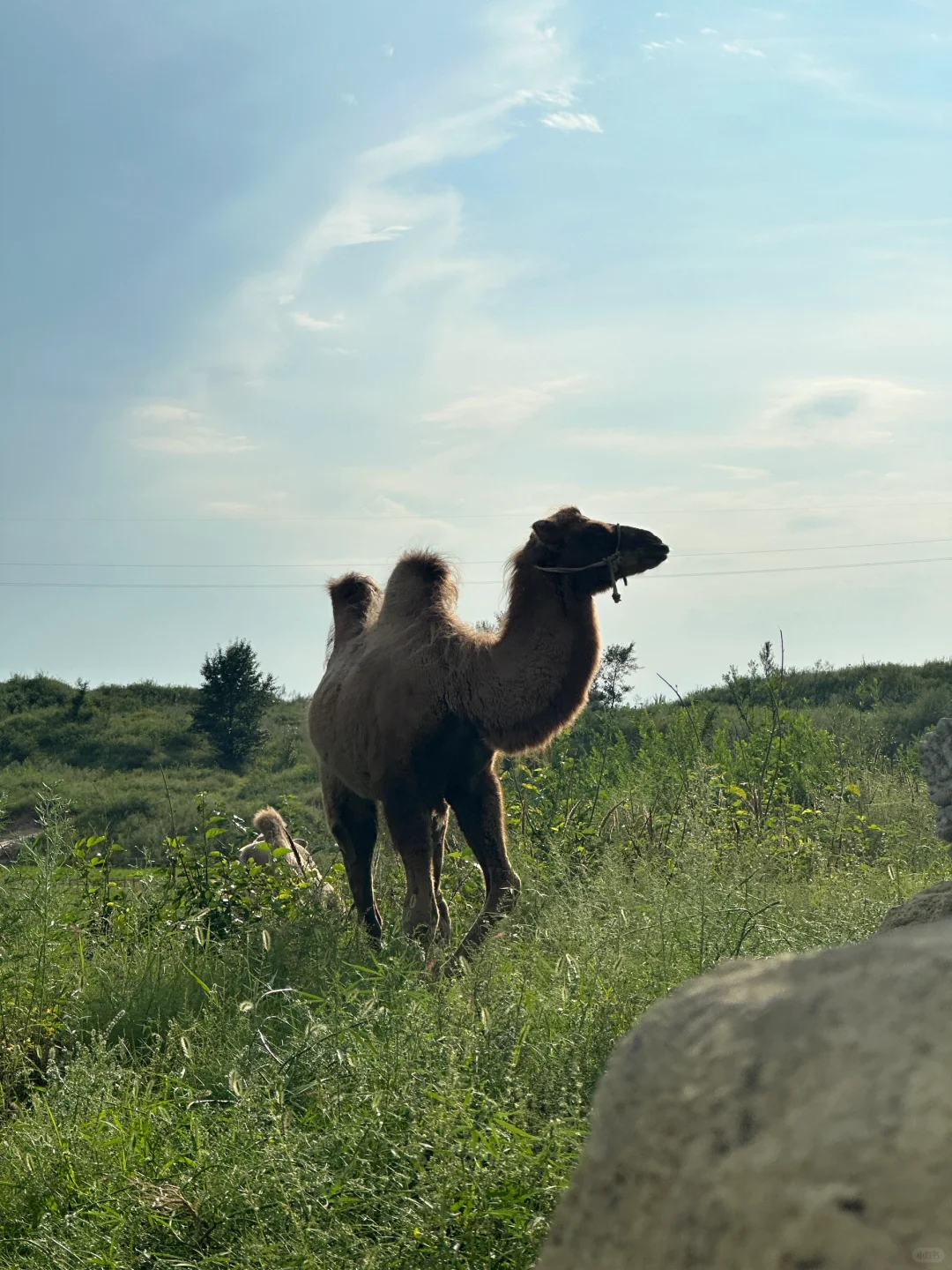 来阜新了 跟童话小镇似的