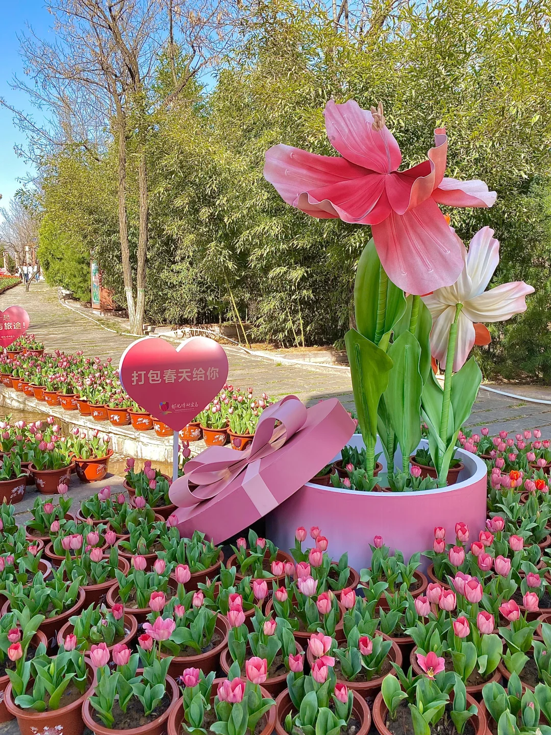 在邯郸！！春季🌷踏青周边游攻略！！