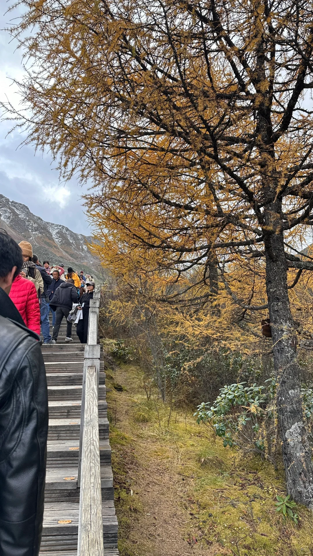 🇨🇳九寨黄龙景区🧎🏻‍♂️‍➡️已老实，别来！