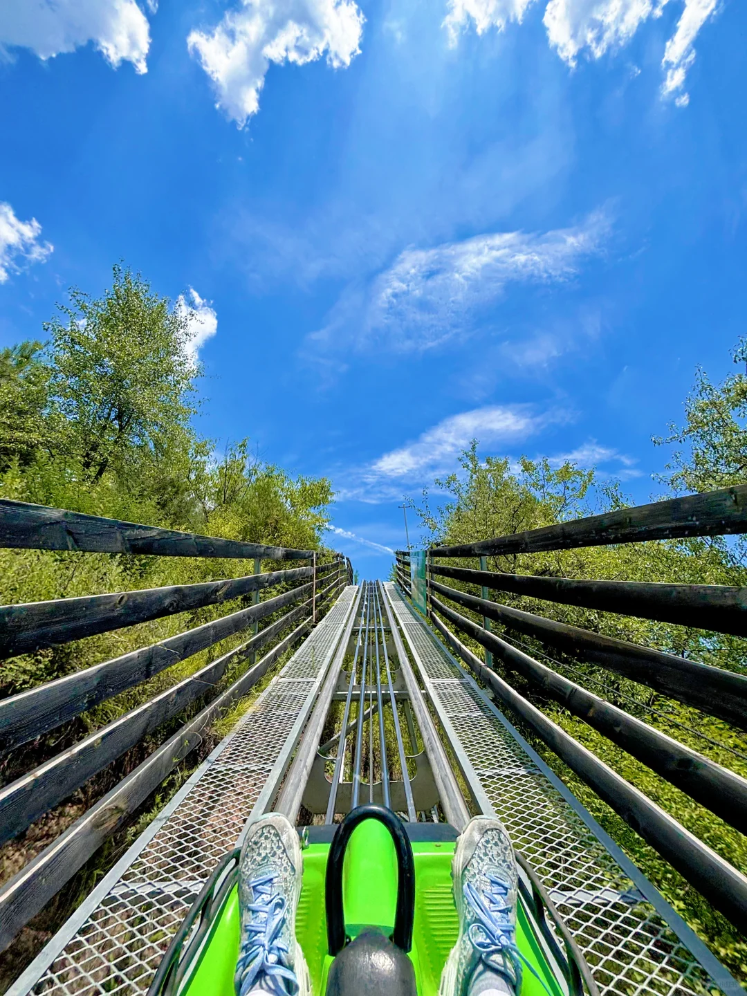 陕西被低估的景区❗丛林过山车🎢森林大滑梯