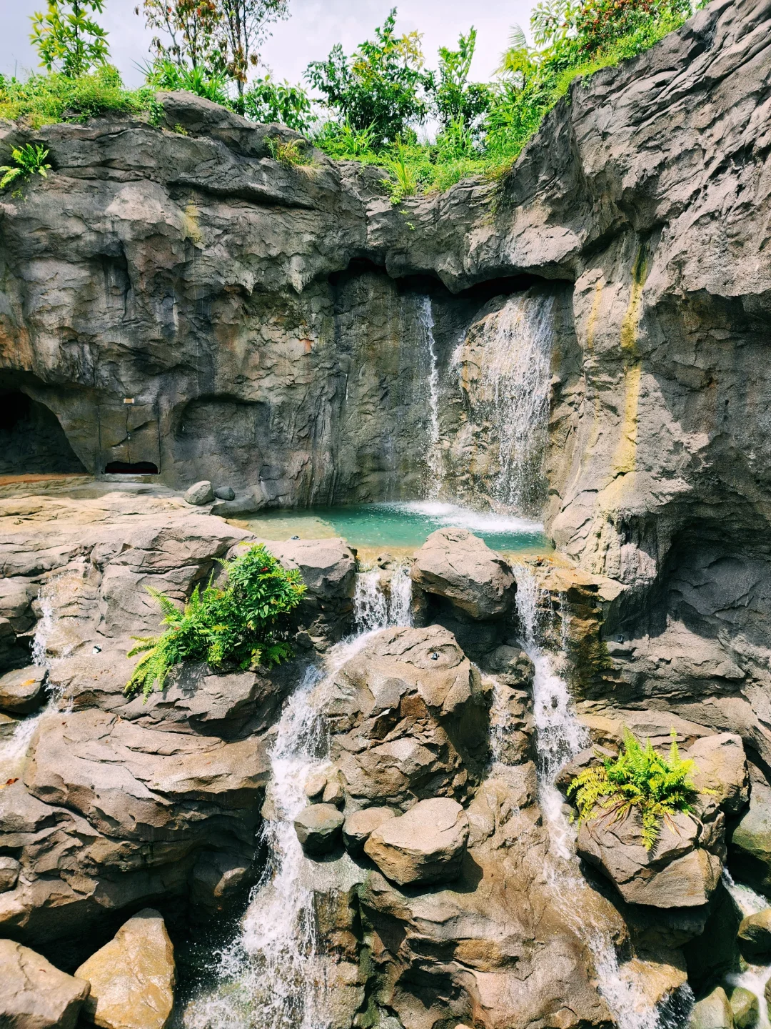 新加坡全新景点｜徒步探险！也太好拍了吧！