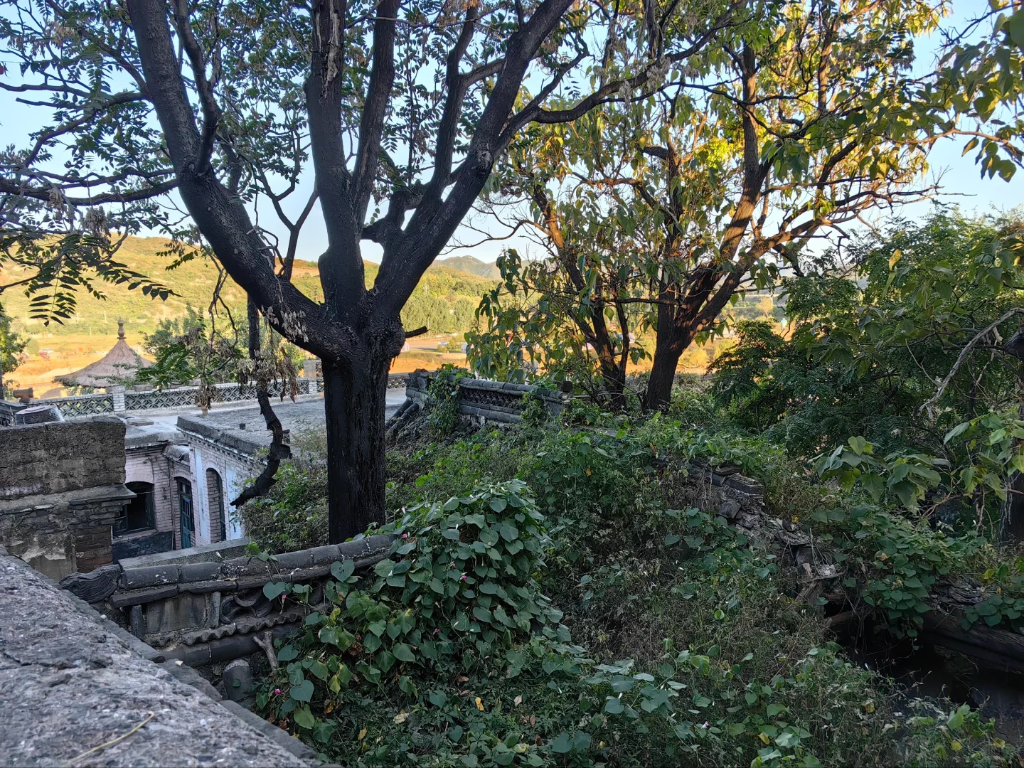 太行深处的陶瓷水乡，透着些古怪