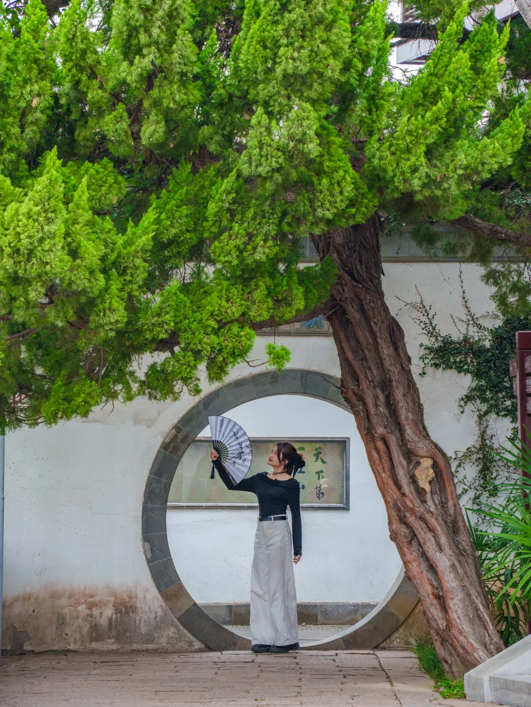 迄今为止，我最喜欢的旅游城市出现了‼️