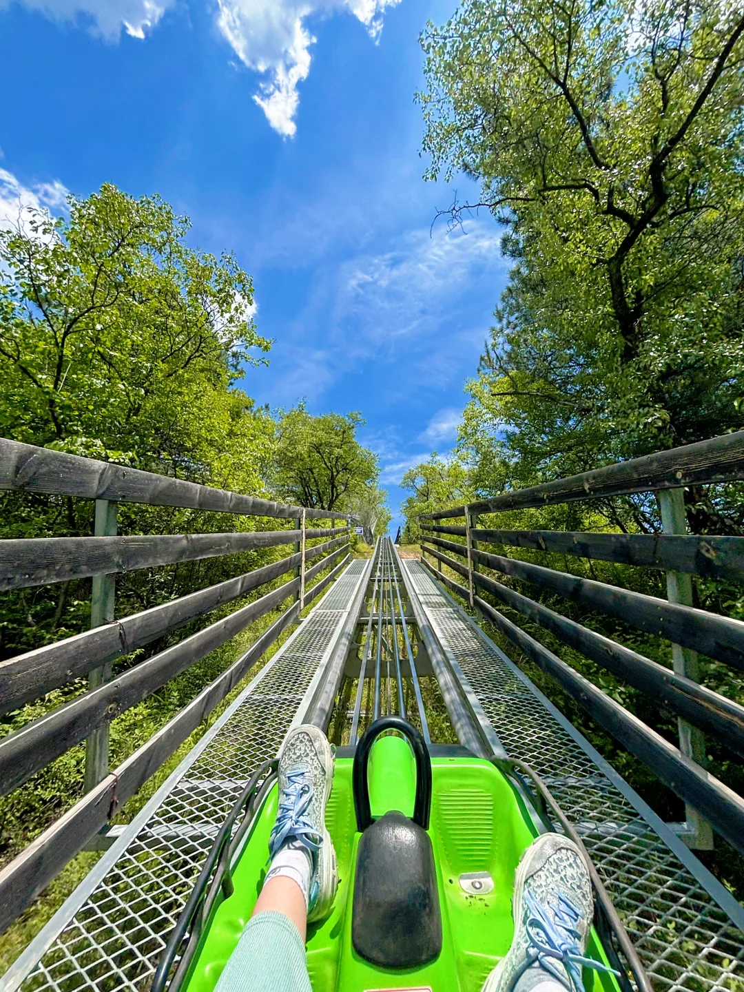 陕西被低估的景区❗丛林过山车🎢森林大滑梯