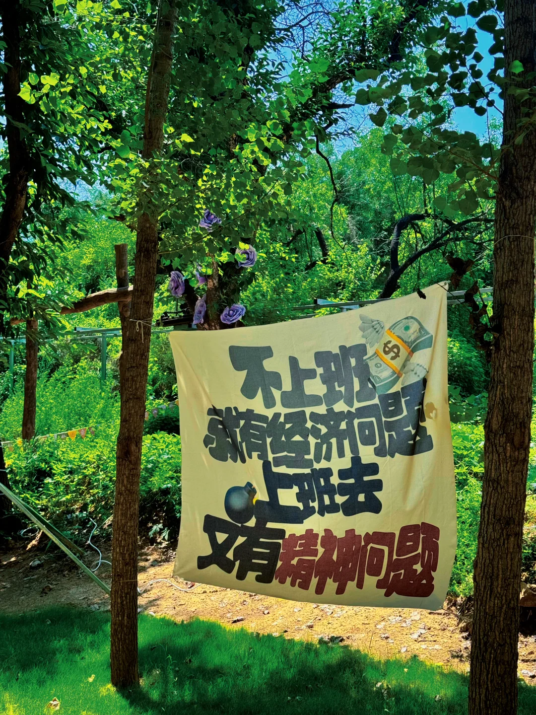 这么近那么美 周末到河北 邢台抱香谷等你来