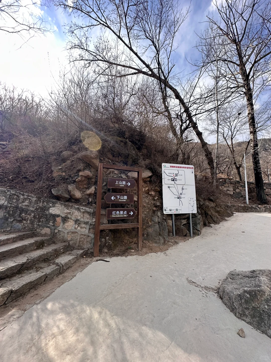 4.1实况🚗1.5h|绝美赏花栈道🌸美得不像话