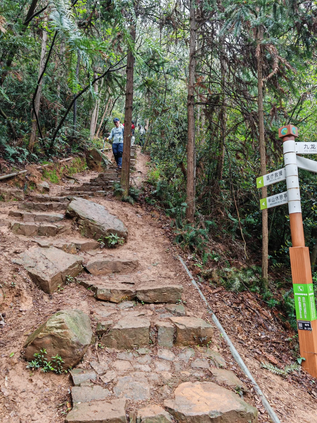 周末徒步|旺山亲子迷你环线，置身绿野仙踪