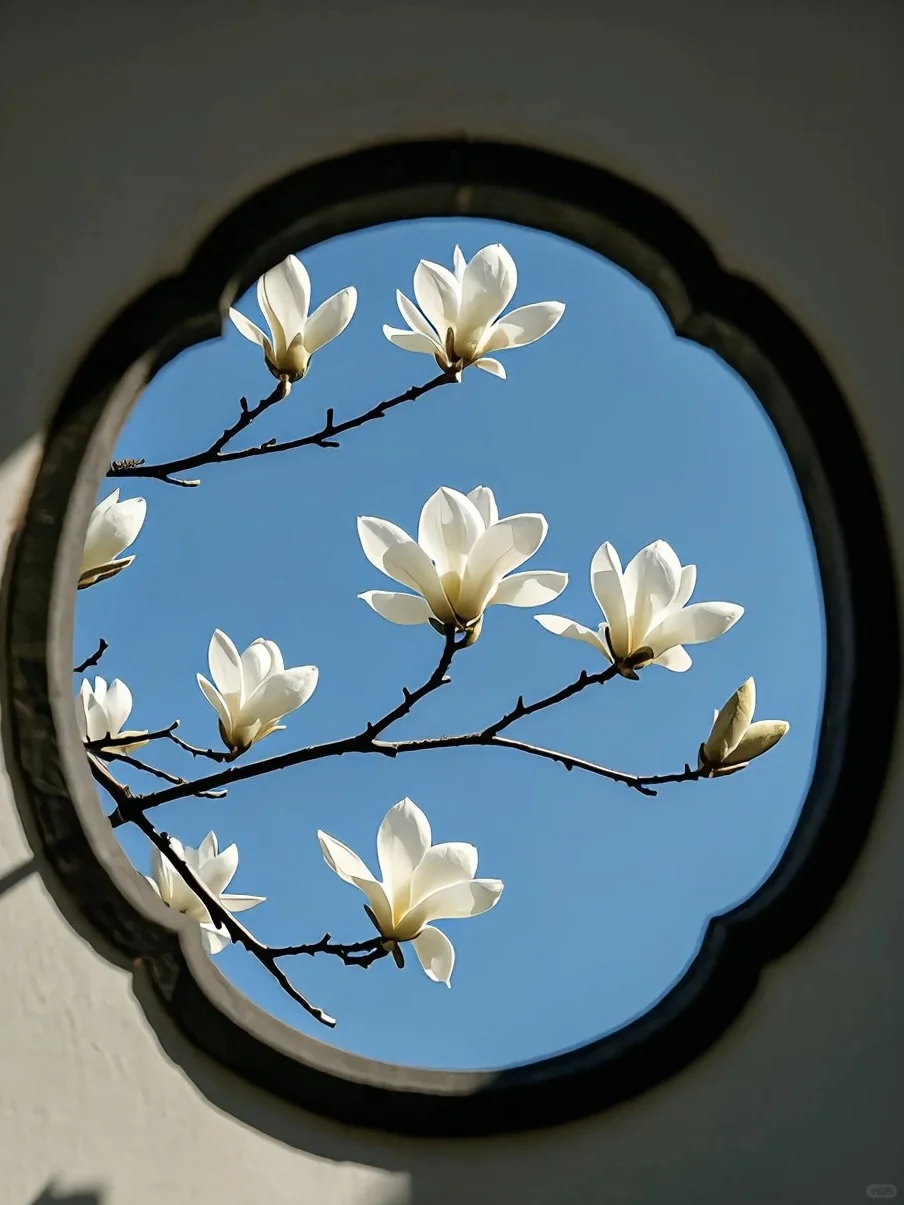 这大概就是老祖宗骨子里不灭的极致审美吧