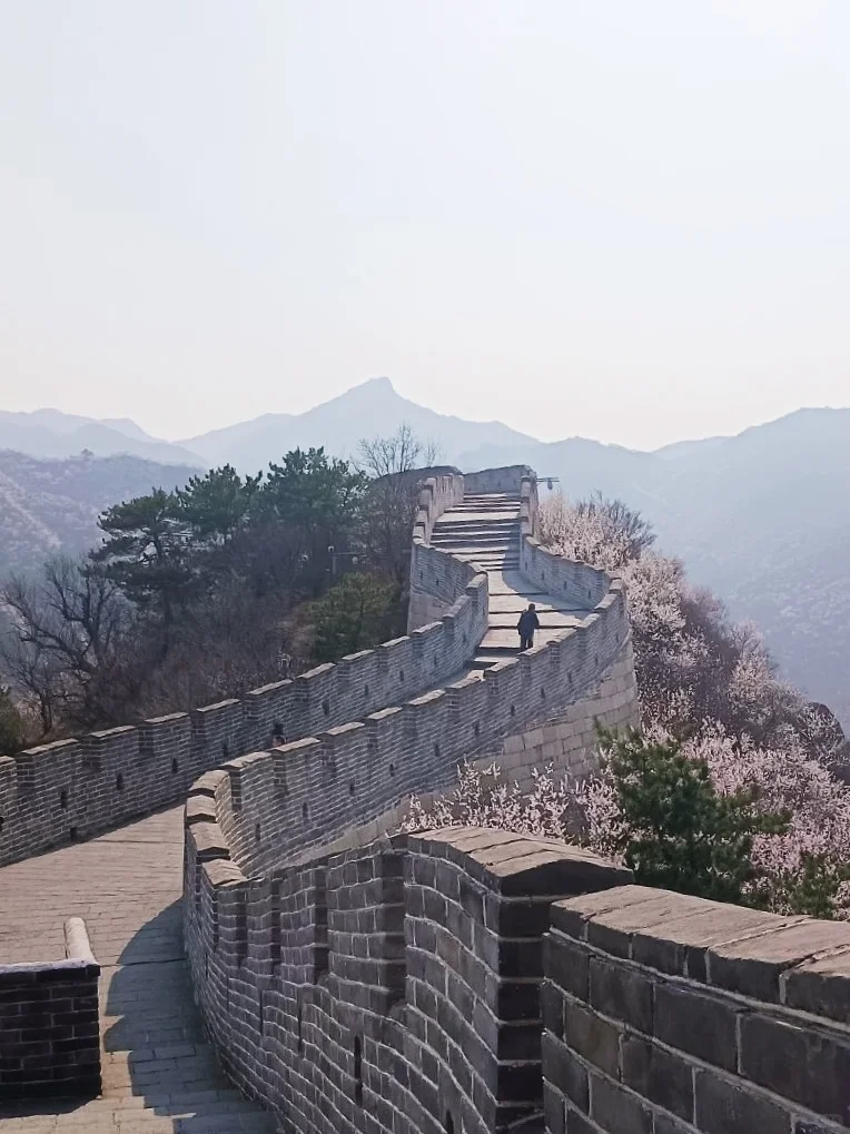 🌸北京最美长城-黄花水长城 🌸赏花攻略来咯