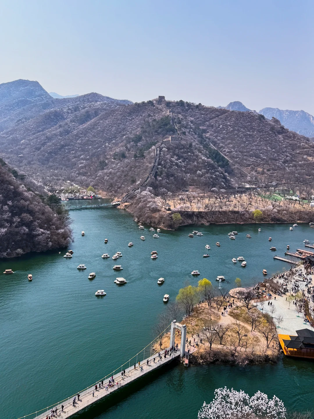 🌸北京最美长城-黄花水长城 🌸赏花攻略来咯