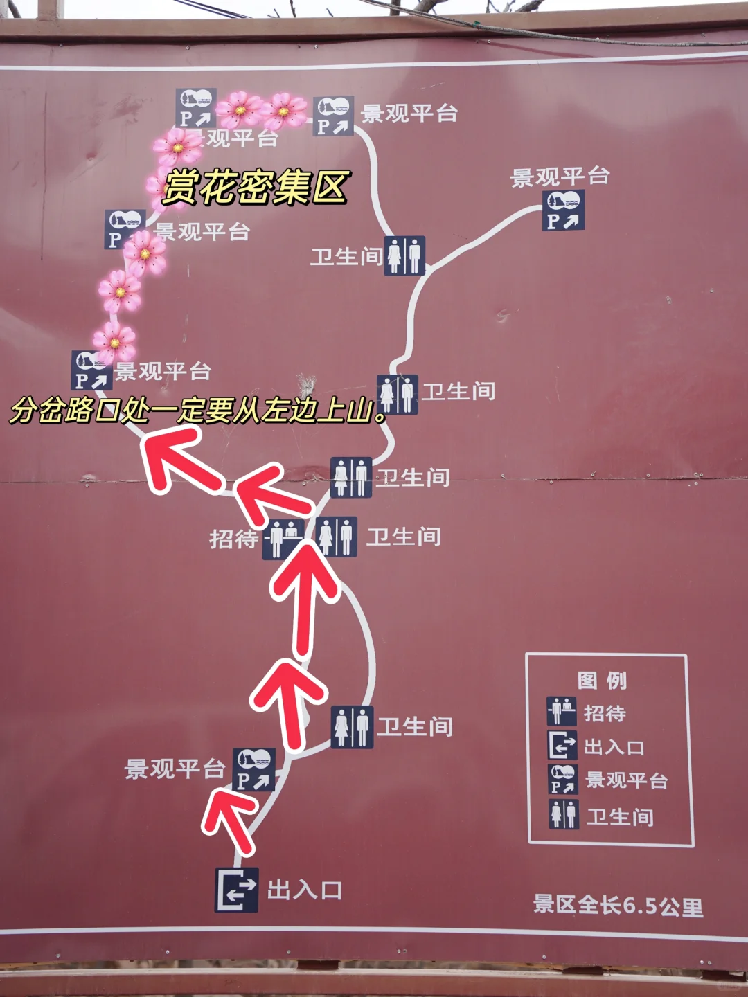 4.1实拍！京郊新开超美赏花栈道，附攻略