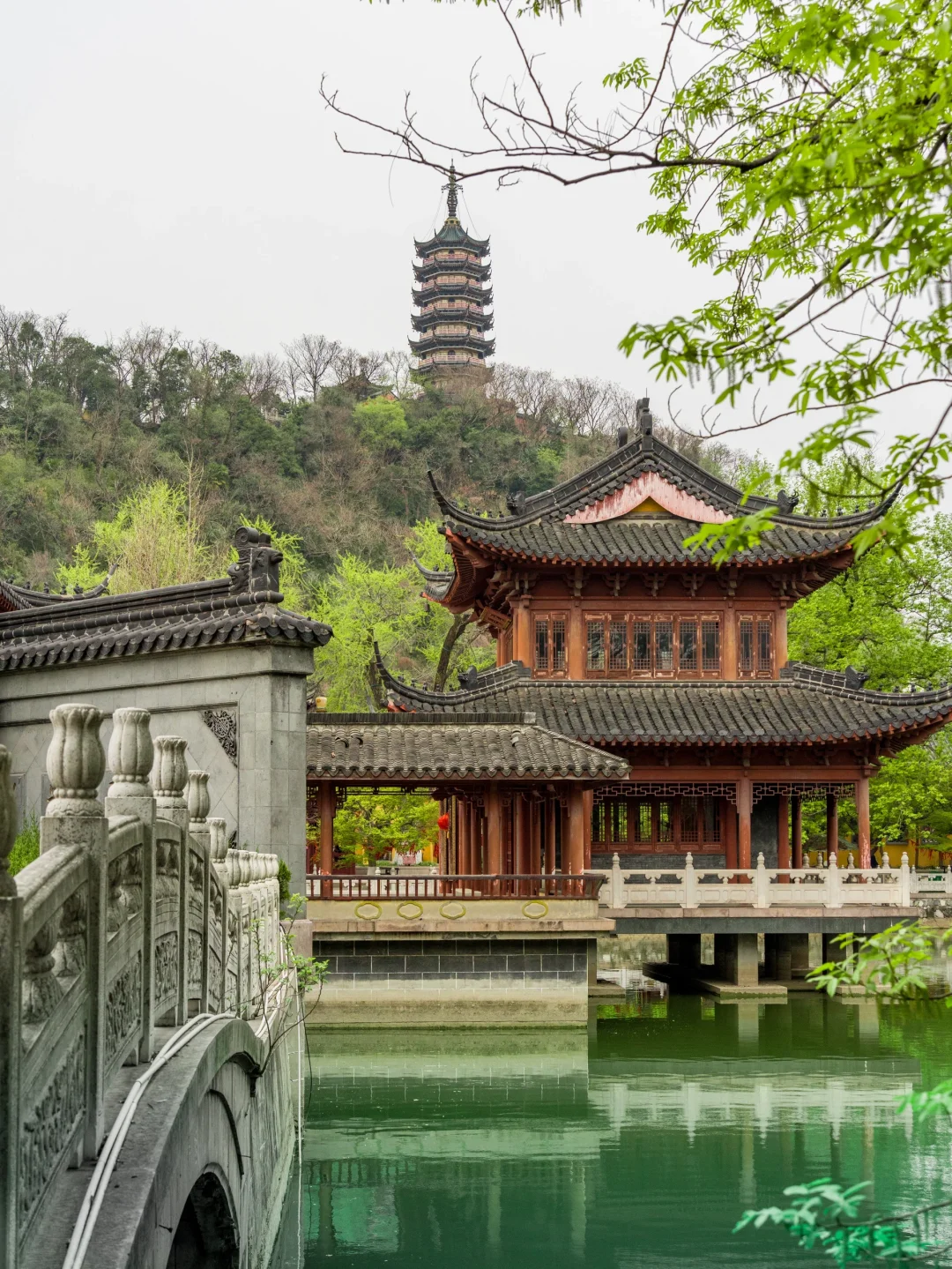 迄今为止，我最喜欢的旅游城市出现了‼️