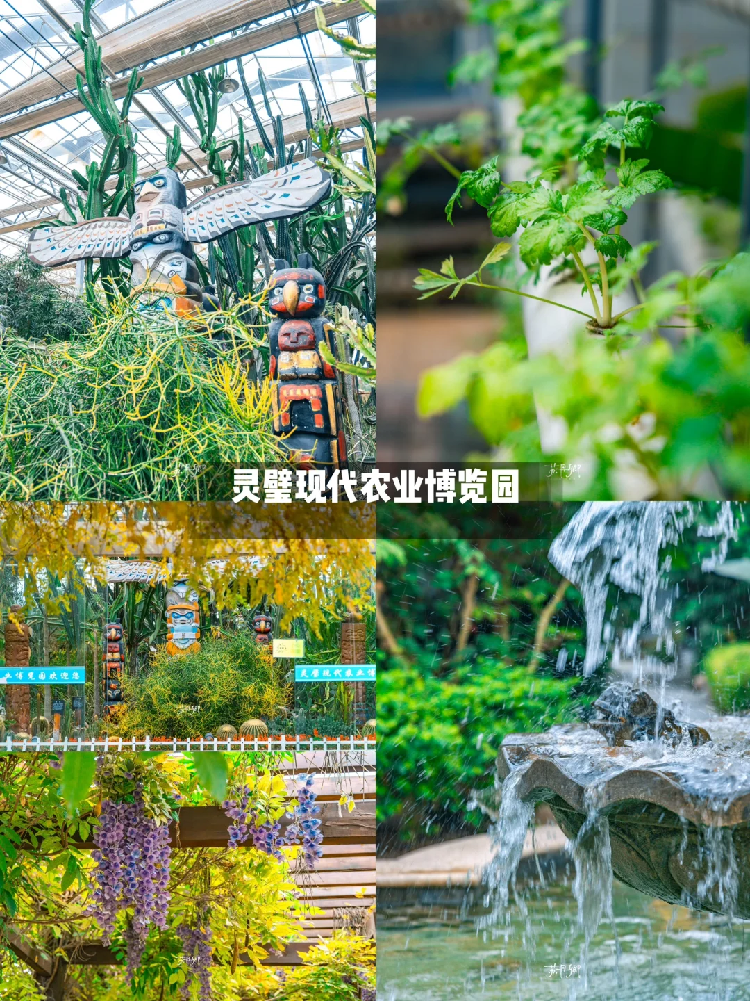 美哭了‼️不是苏州是宿州｜冷门小城太宝藏