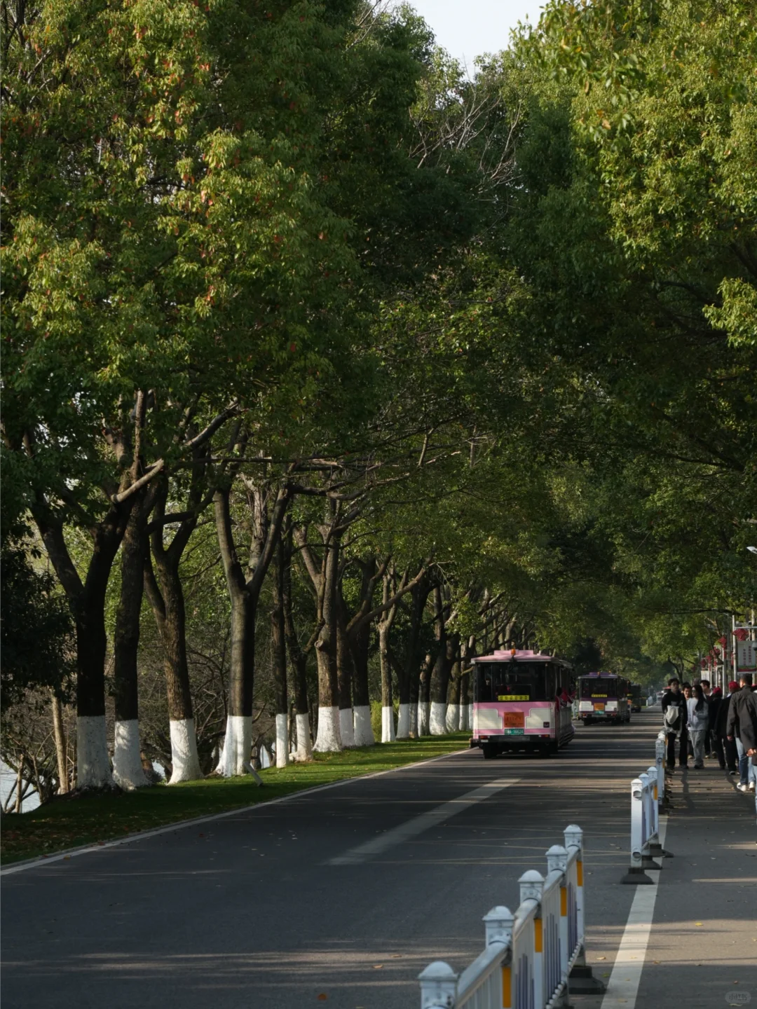 长沙自驾游🚗各景区停车攻略‼️（附位置）