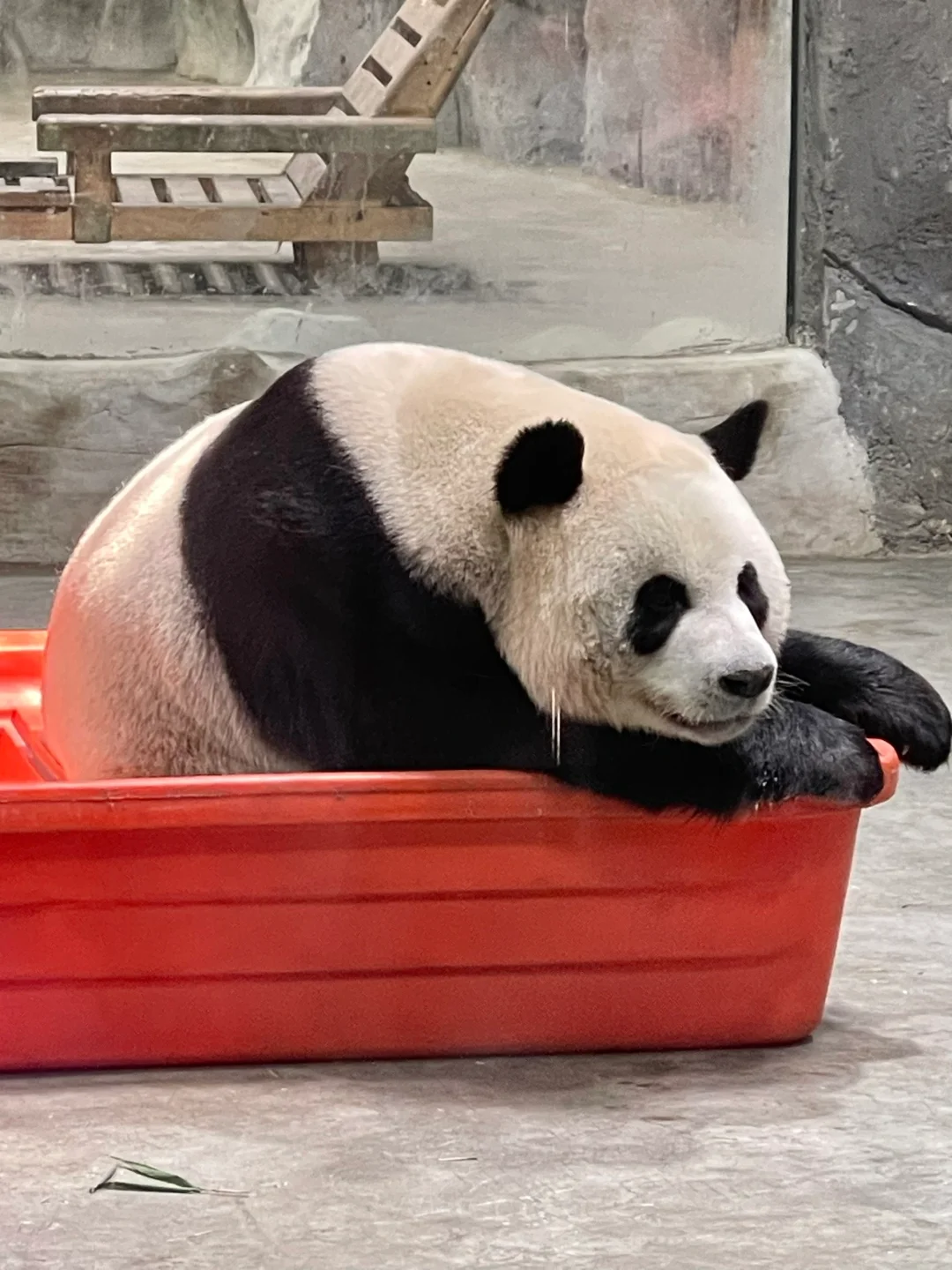 栾川！！让我好像走进了动漫里！