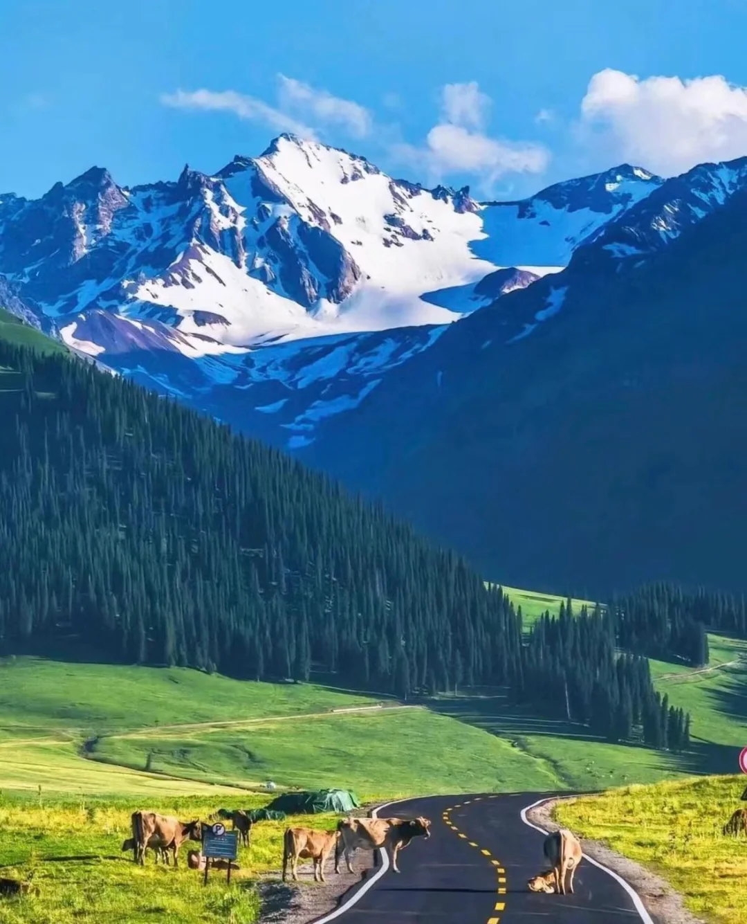 get《我的阿勒泰》同款秘境🔥 美到窒息❗️