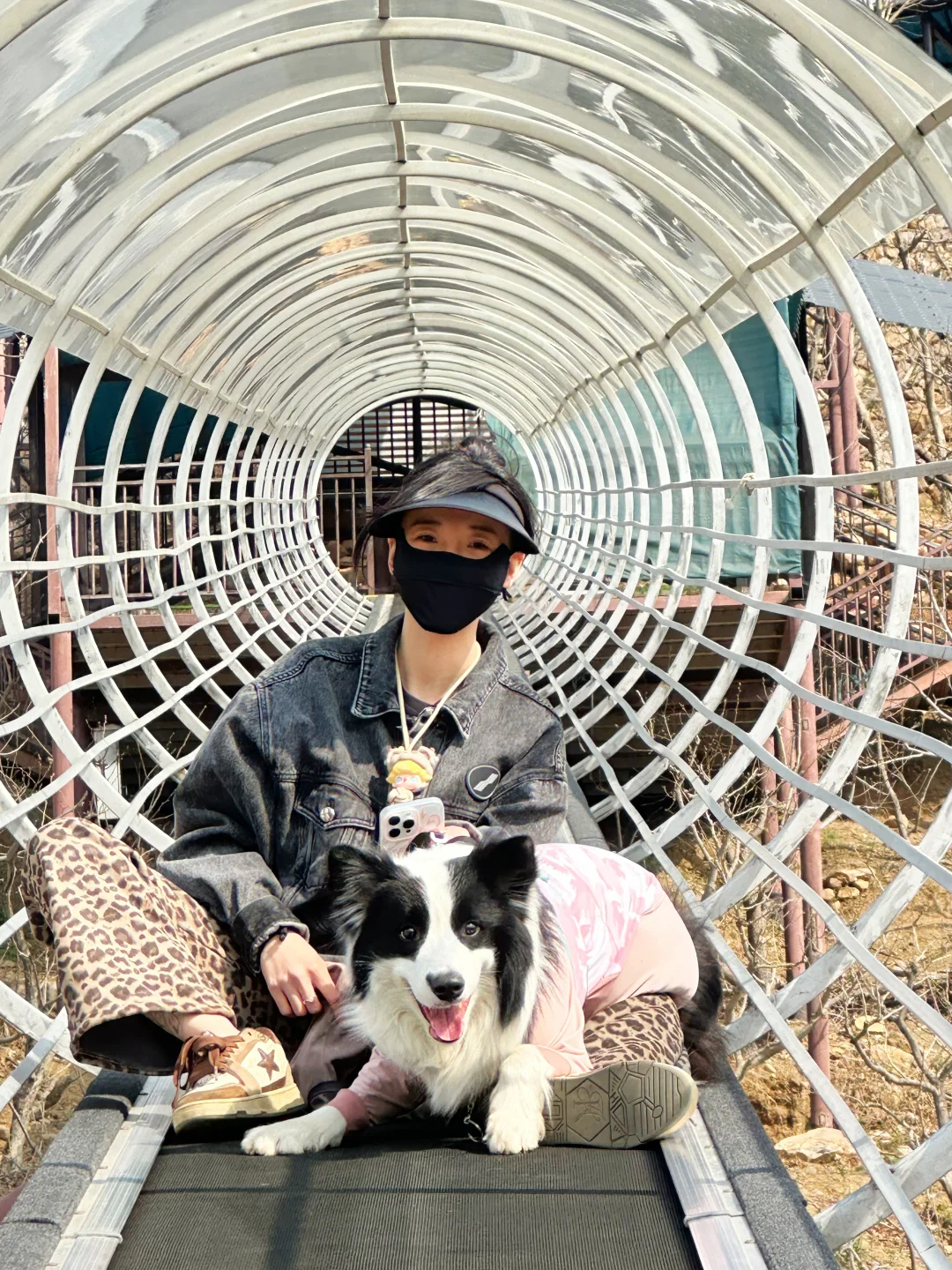 给养狗人疯狂推荐的宠物友好景区