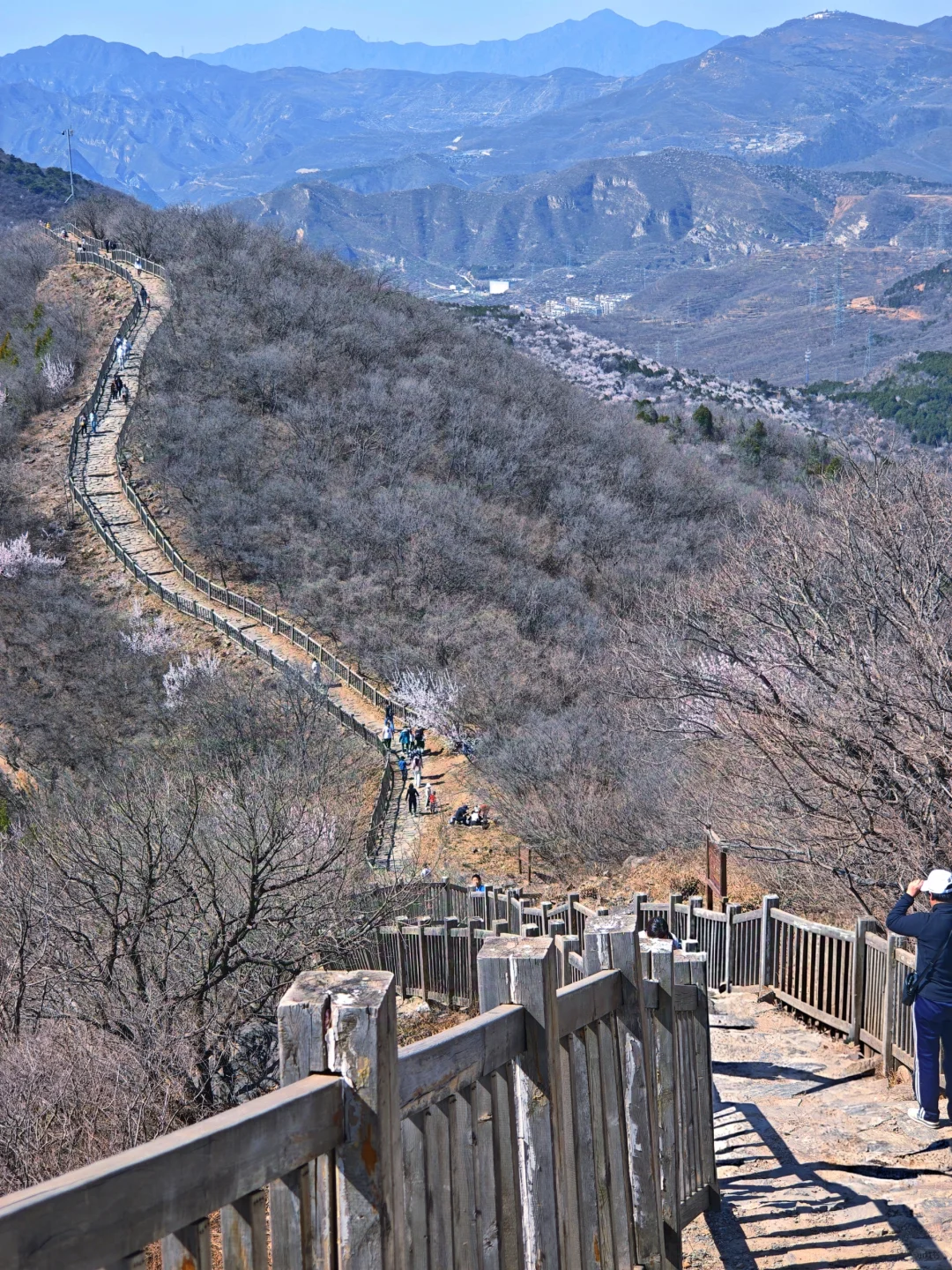 🌸京郊桃花秘境粉色暴击！戒台寺步道