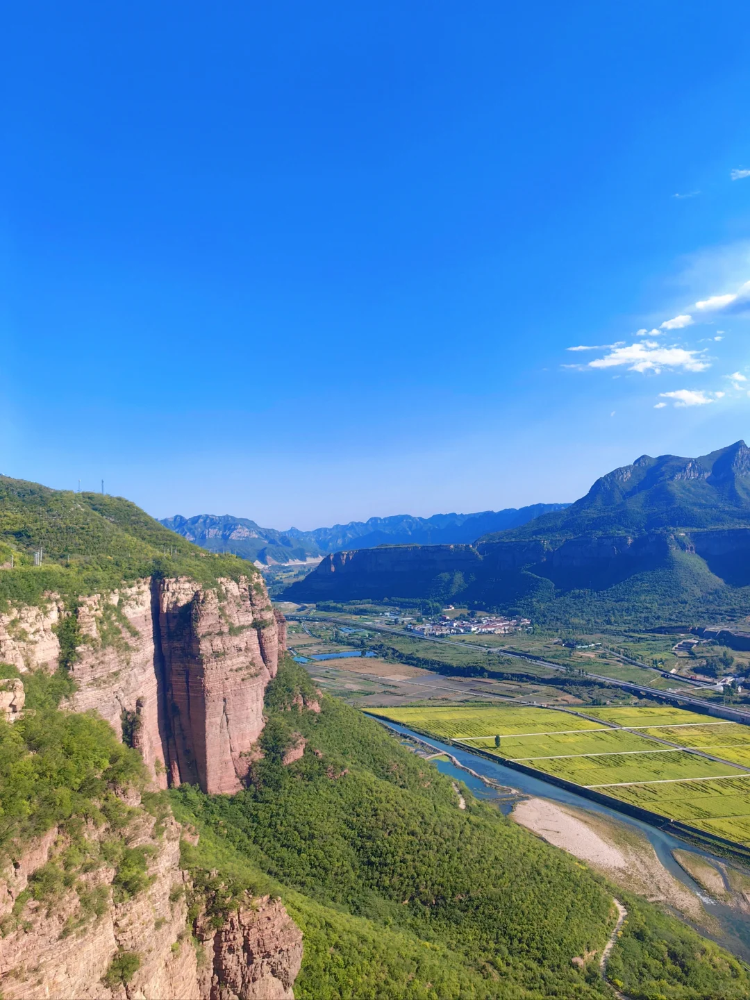 邯郸‖免费的稻田画也太美了吧！