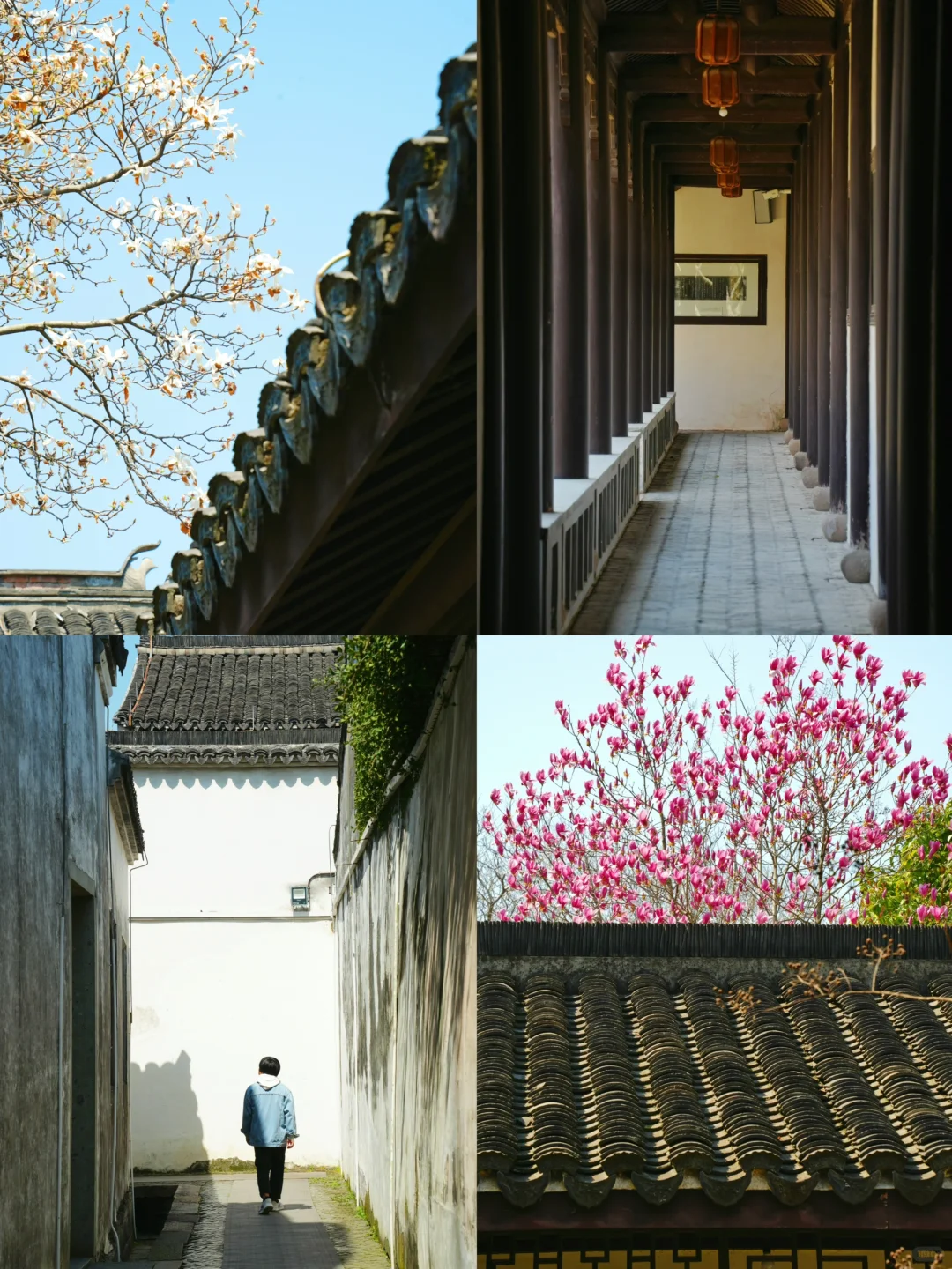 乾隆下江南4次的宝藏古城❗️春天两日游攻略