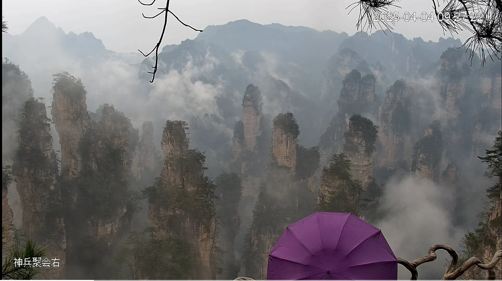 4月4号张家界景区实况