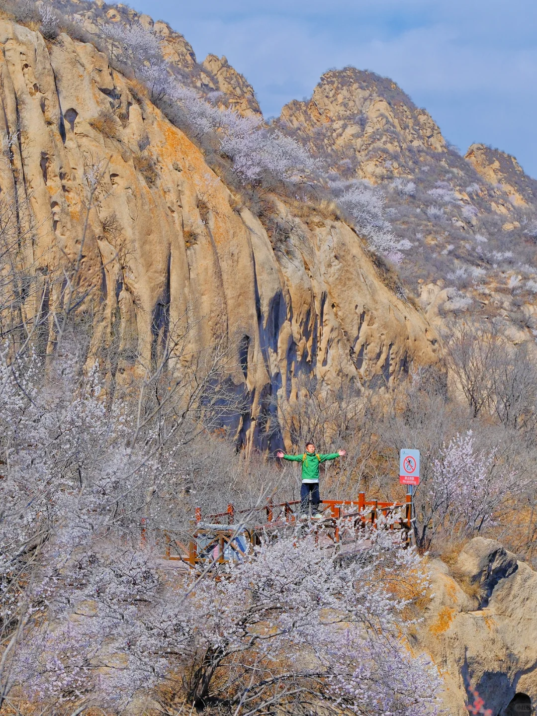 4.1实况🚗1.5h|绝美赏花栈道🌸美得不像话