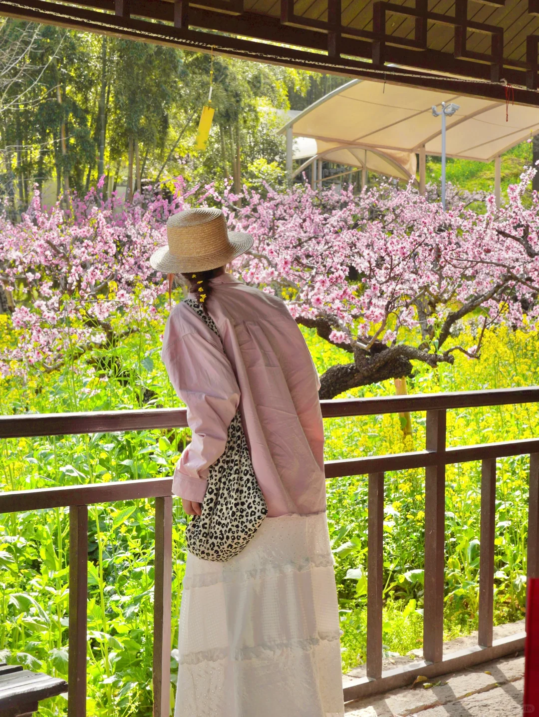 杭州出发1小时，坐上开往春天的花海小火车